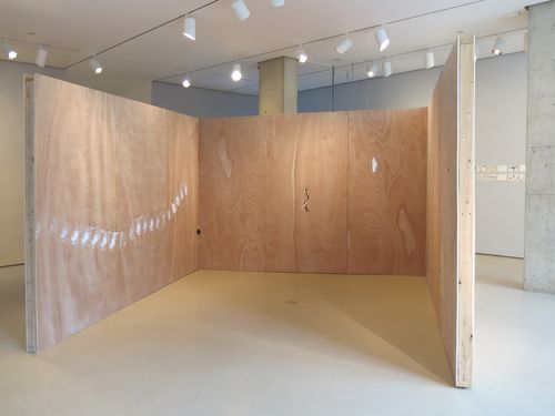 Dan Perjovschi, Back To Back at Lombard Freid Gallery, photo 2