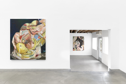 Molly Lowe, Falling Together at Anat Ebgi, photo 7