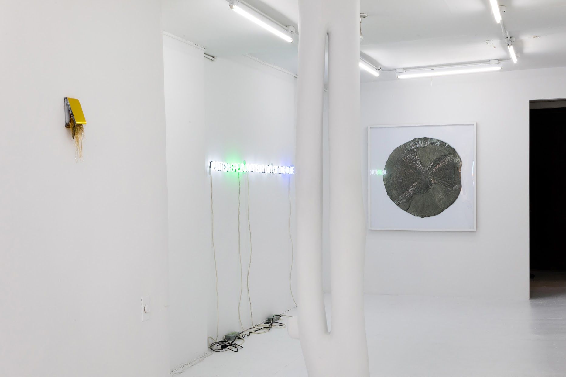 Evariste Richer, Fool's Gold at Emmanuel Barbault, photo 4