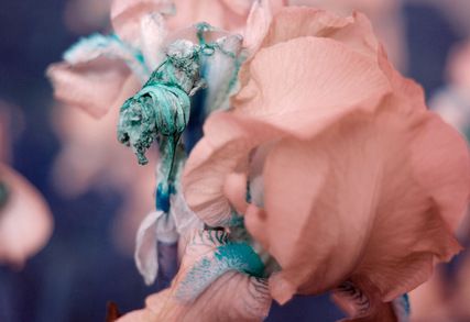 Fia Backström, A Vaudeville on Mankind in Time and Space at Callicoon Fine Arts, photo 2
