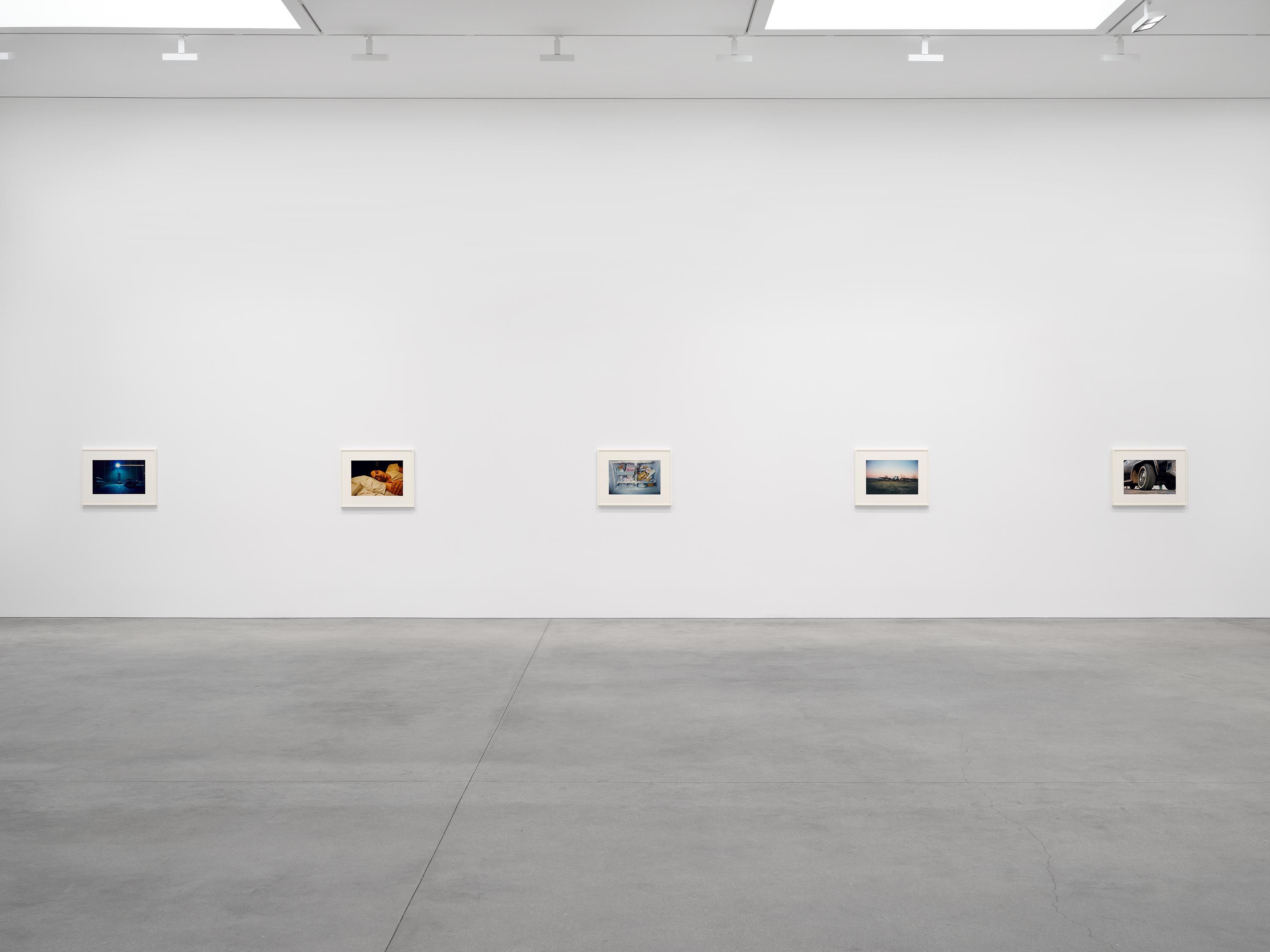 William Eggleston, The Last Dyes at David Zwirner, photo 3