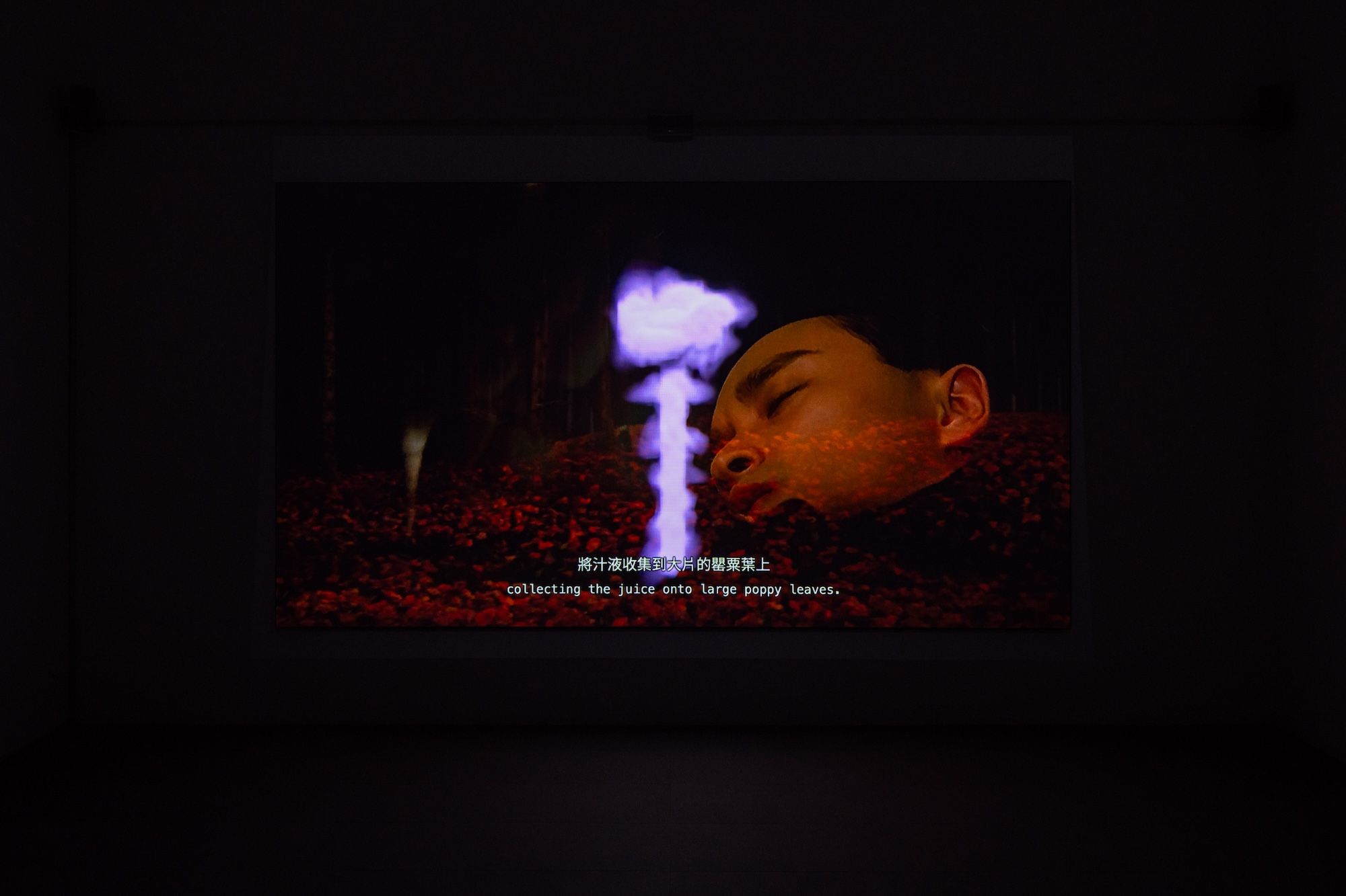 Ho Tzu Nyen, Three Stories: Monsters, Opium, Time at Kiang Malingue, photo 14