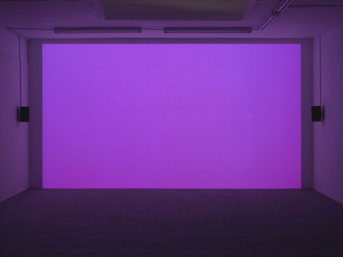 Elizabeth McAlpine, Light Reading at Laura Bartlett, photo 7