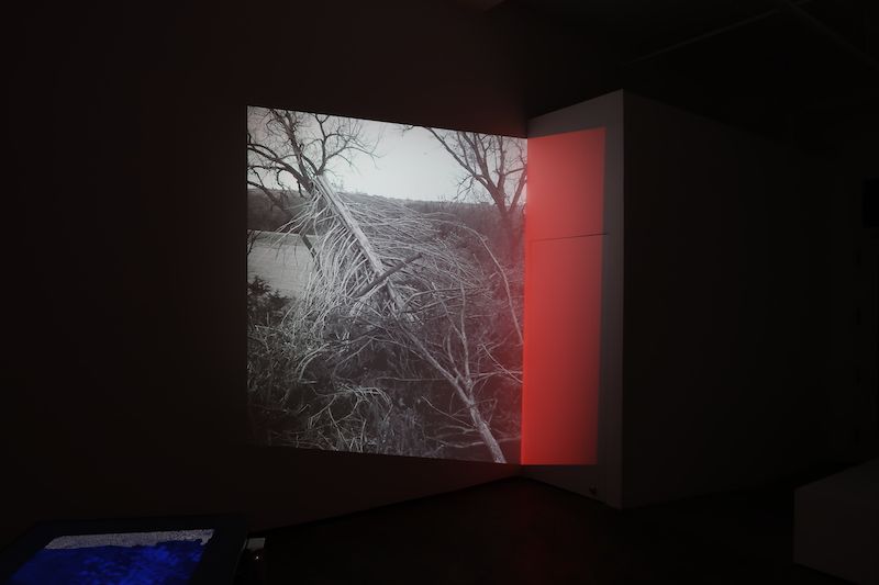 Peter Fankhauser, Nowhere Left To Live at AA|LA, photo 3