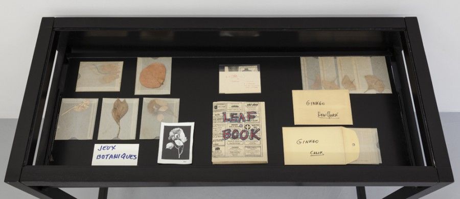 Hollis Frampton, Hollis Frampton at Room East, photo 7