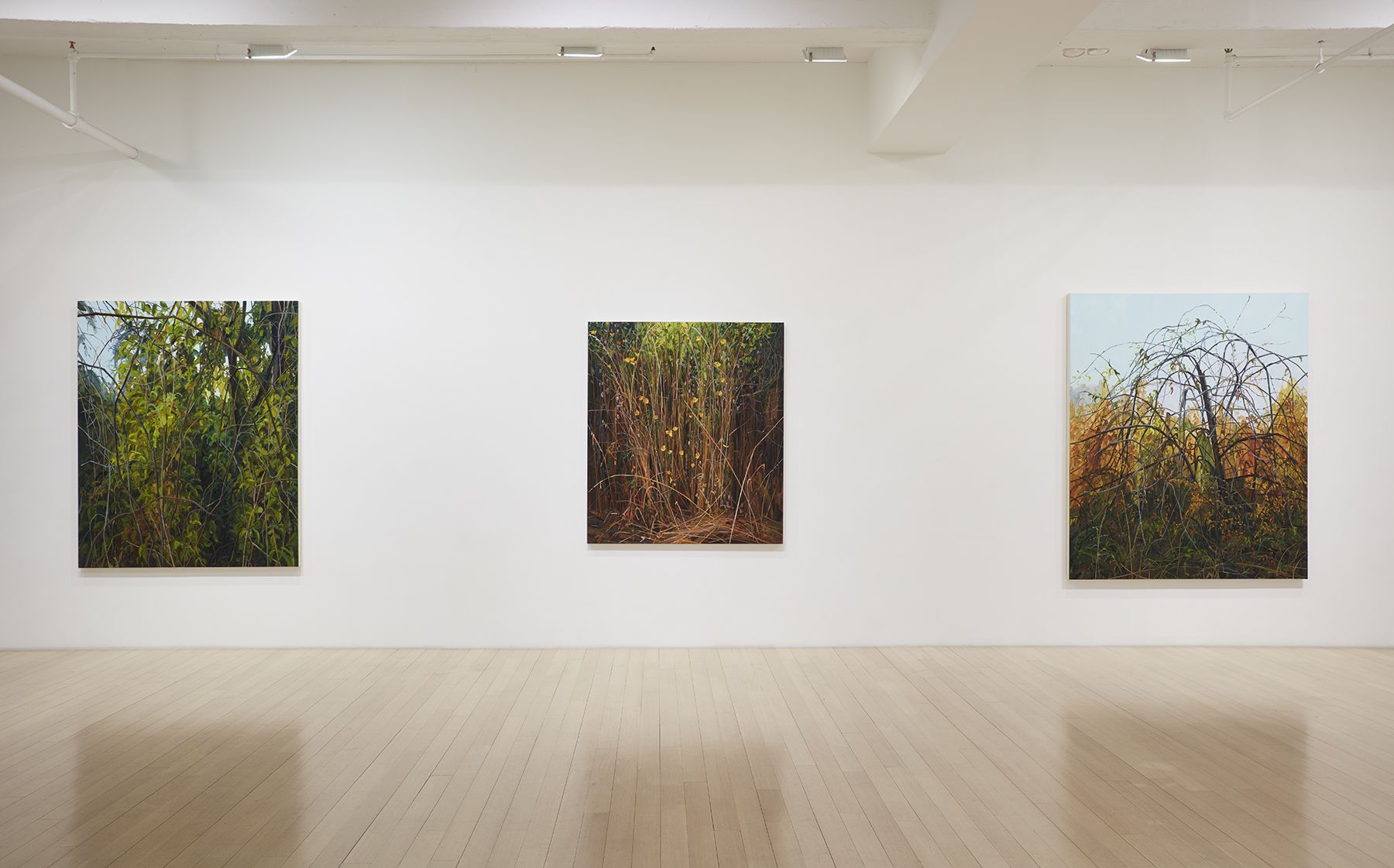 Claire Sherman, Intuor at DC Moore, photo 2