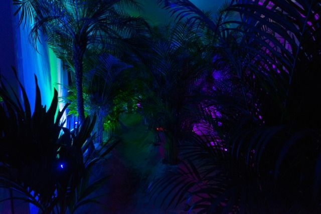 Molly Surno, image 2 of 7