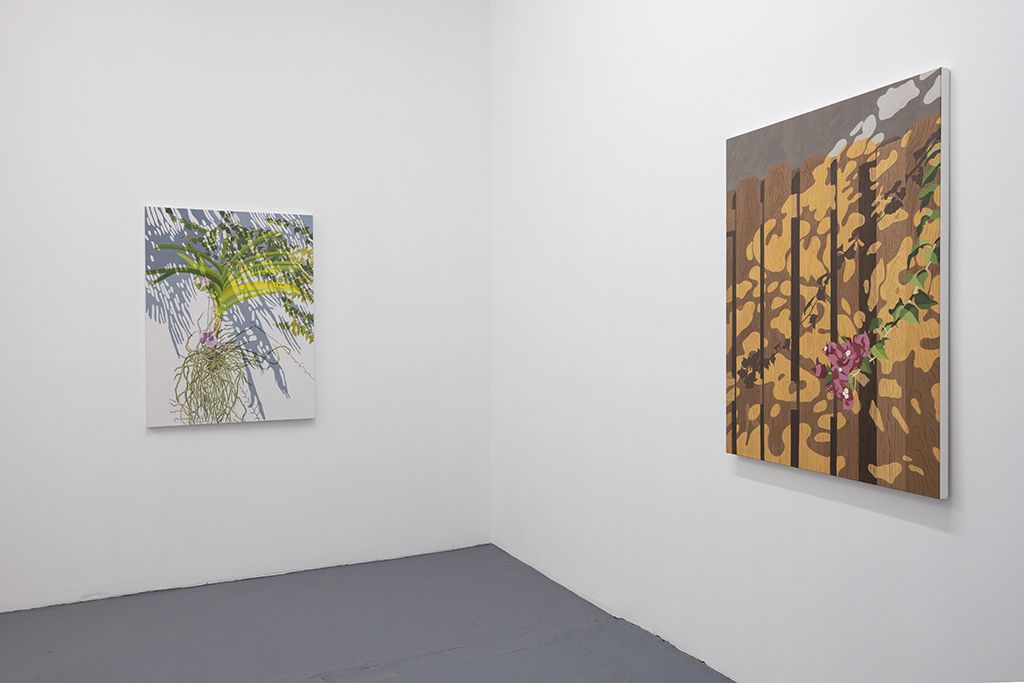 Installation view 11