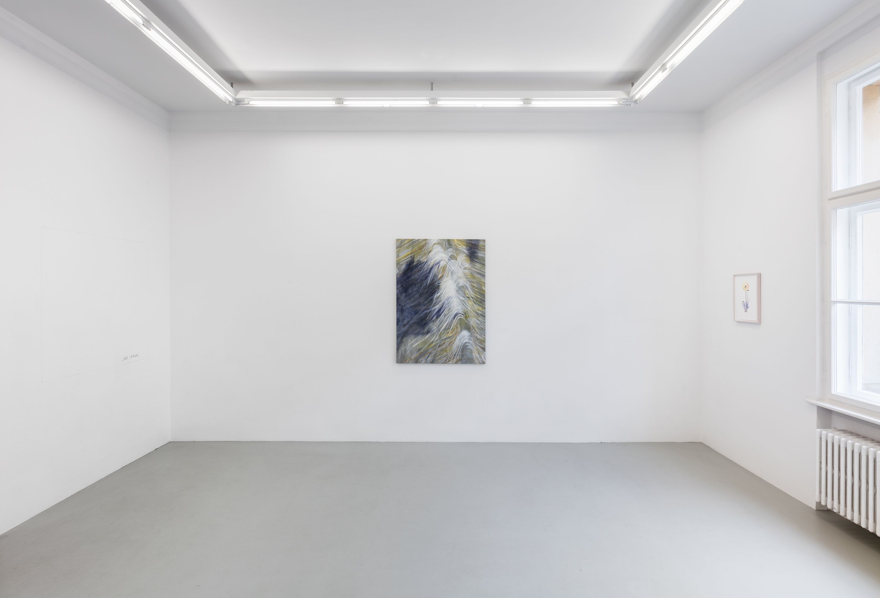 New Dawn, New Dawn at Neumeister Bar-Am, photo 7