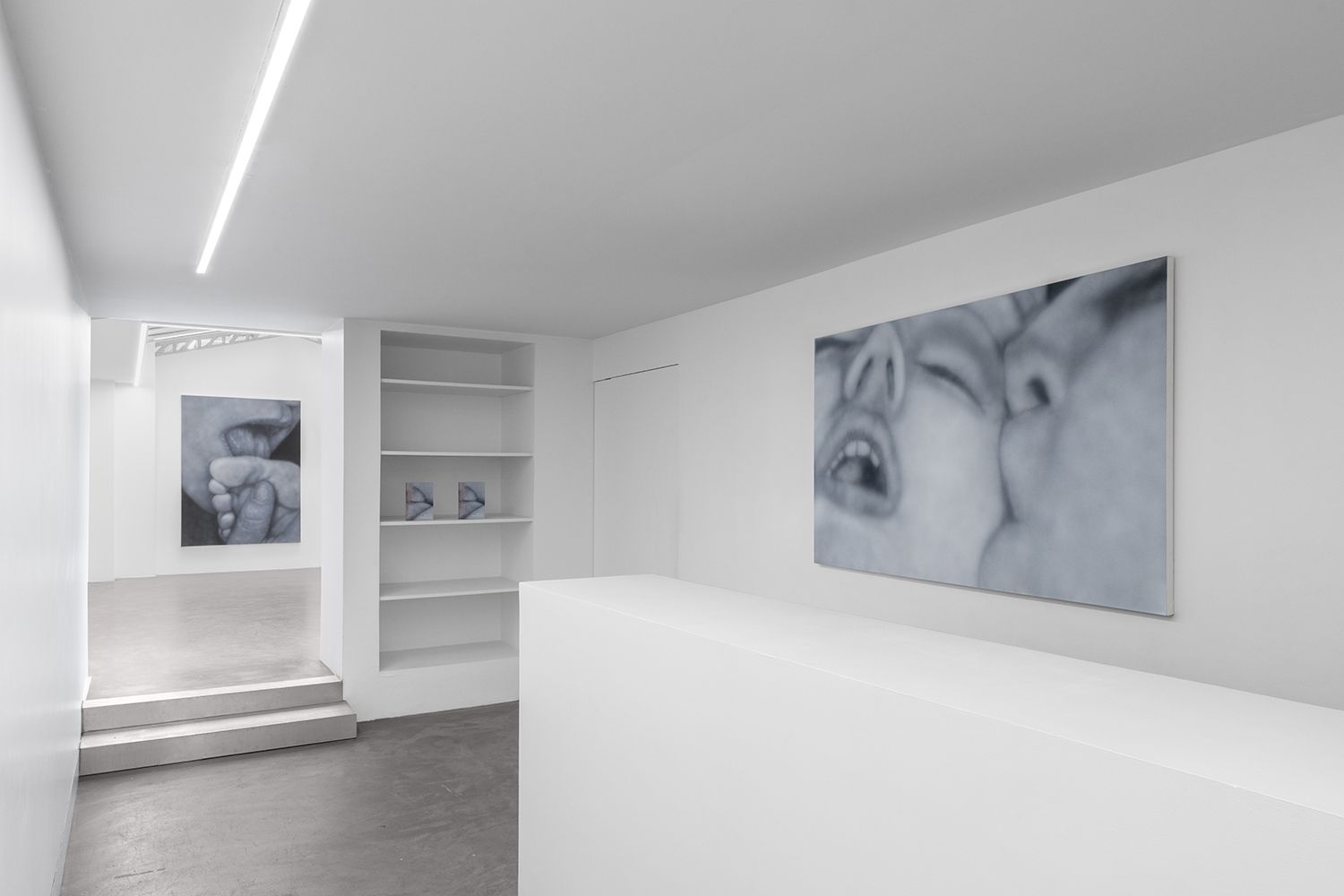 Betty Tompkins, Sex Paintings at Bremond Capela, photo 8
