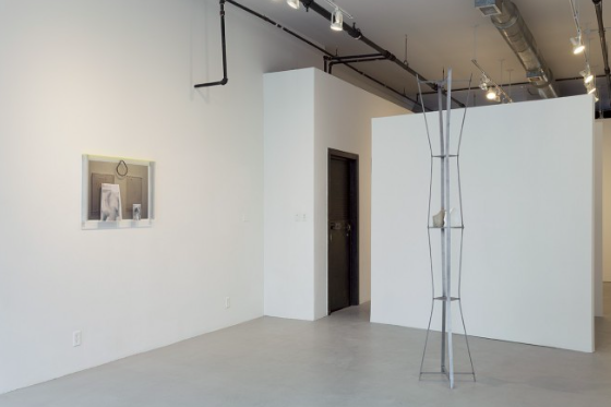 B. Ingrid Olson, Double-Ended Arrow at Simone Subal, photo 4