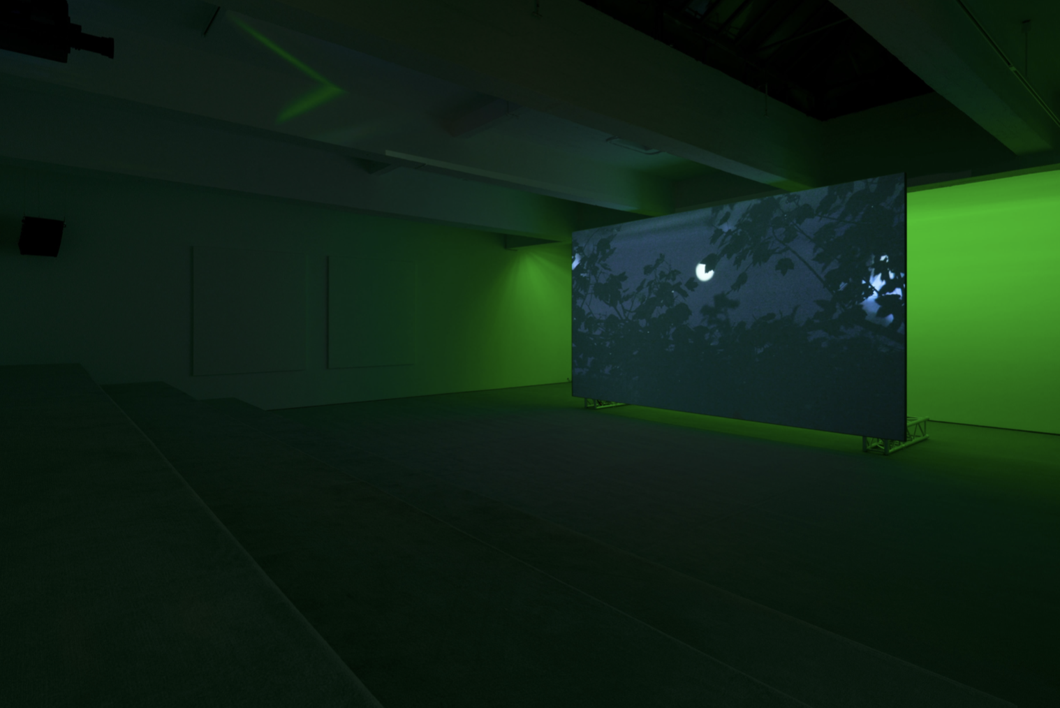 Paul Pfeiffer, Red Green Blue at Paula Cooper, photo 3