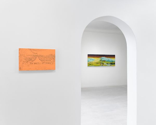 Nicole Irene Anderson, A Tangled Coexistence at Johansson Projects, photo 3