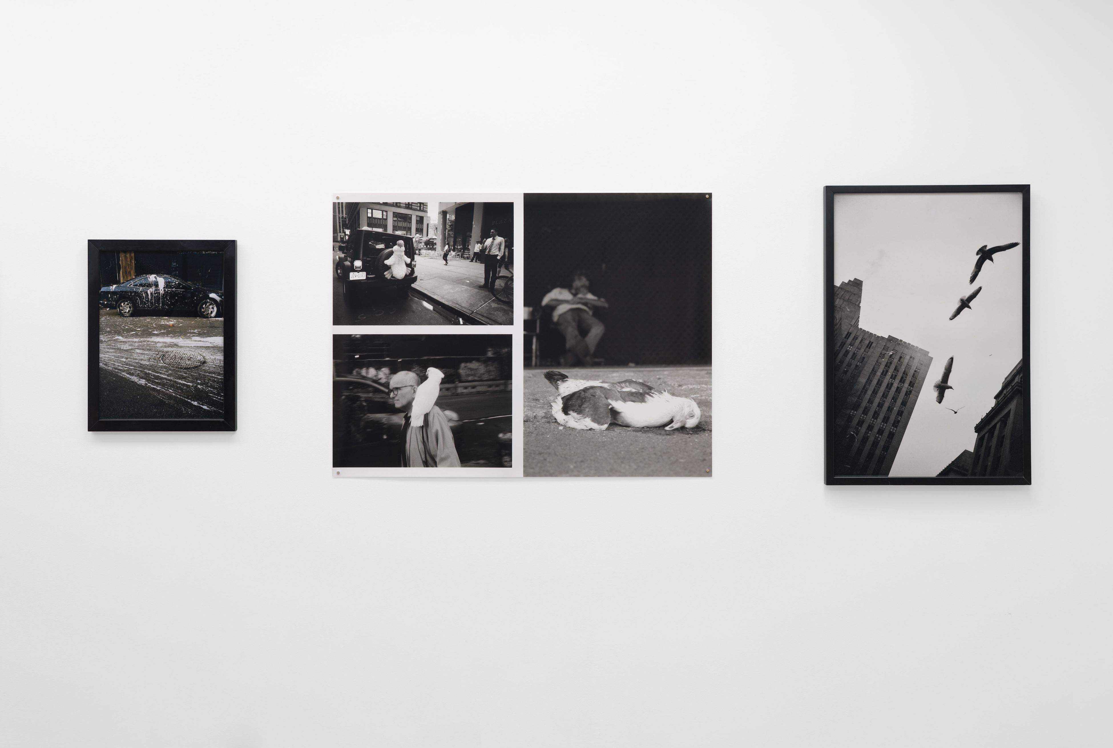 Cheryl Dunn, The Whiles NYC at Long Story Short, photo 8