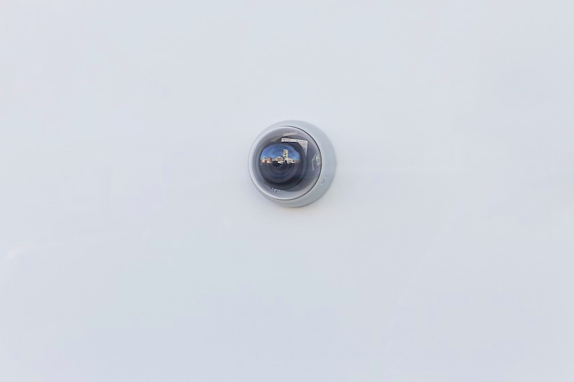 Thomas Kovachevich, Delancey at Callicoon Fine Arts, photo 3