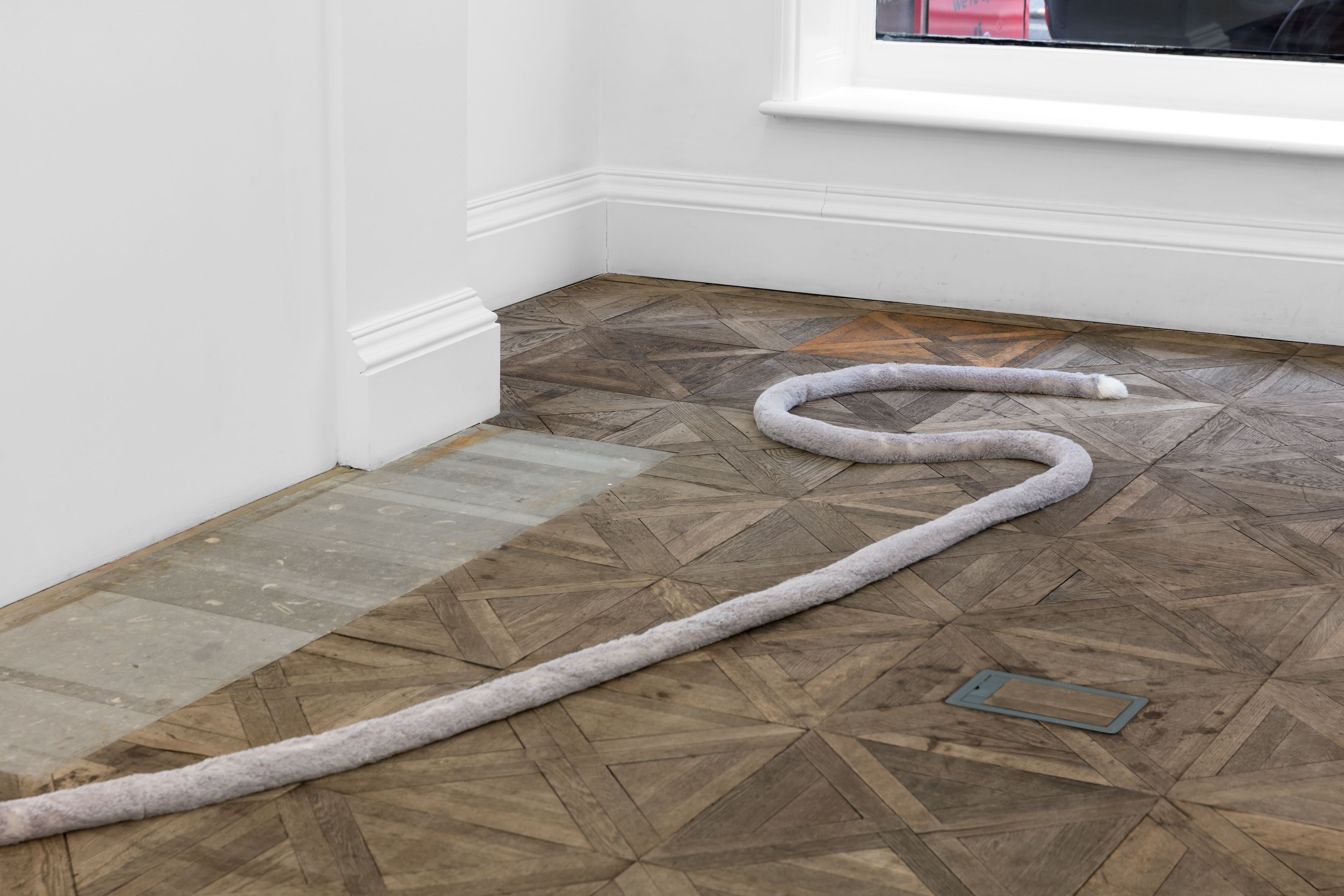 Nicole Wermers, image 3 of 8