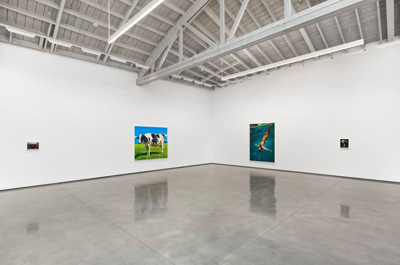 Sam McKinniss, The Perfect Tense at David Kordansky Gallery, photo 5
