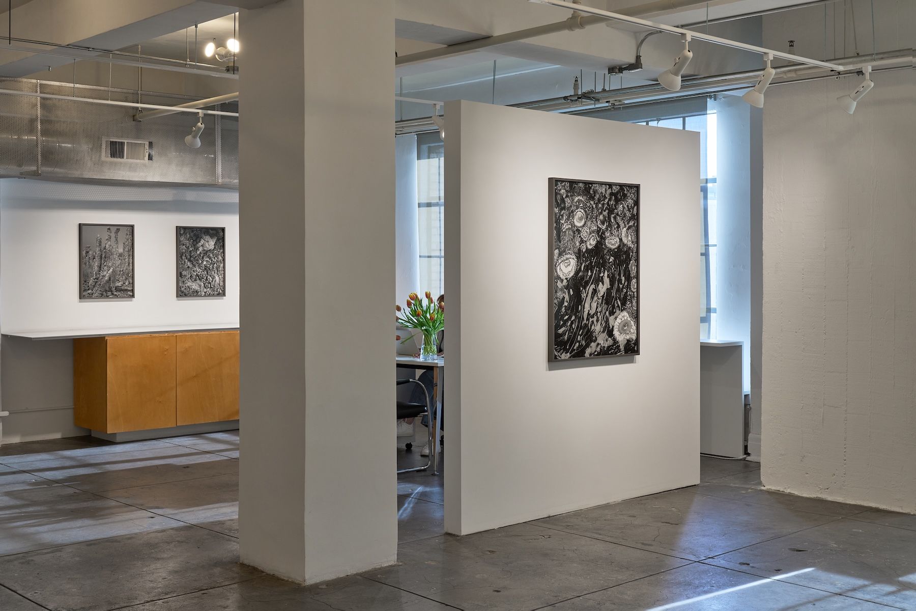 Ron Jude, Low Tide at Gallery Luisotti, photo 2