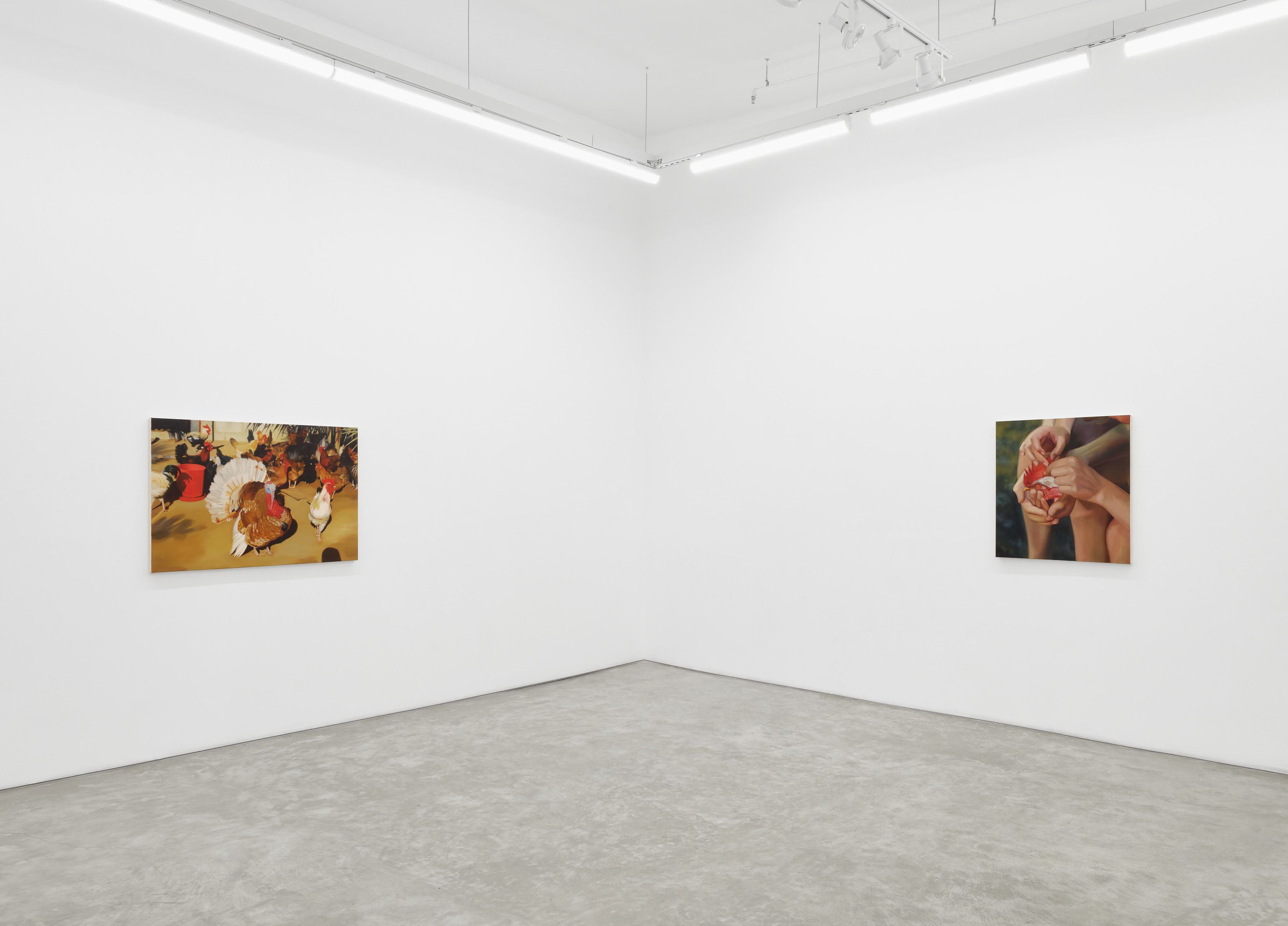 Shannon Cartier Lucy, Bucket of Birds at Night Gallery, photo 2