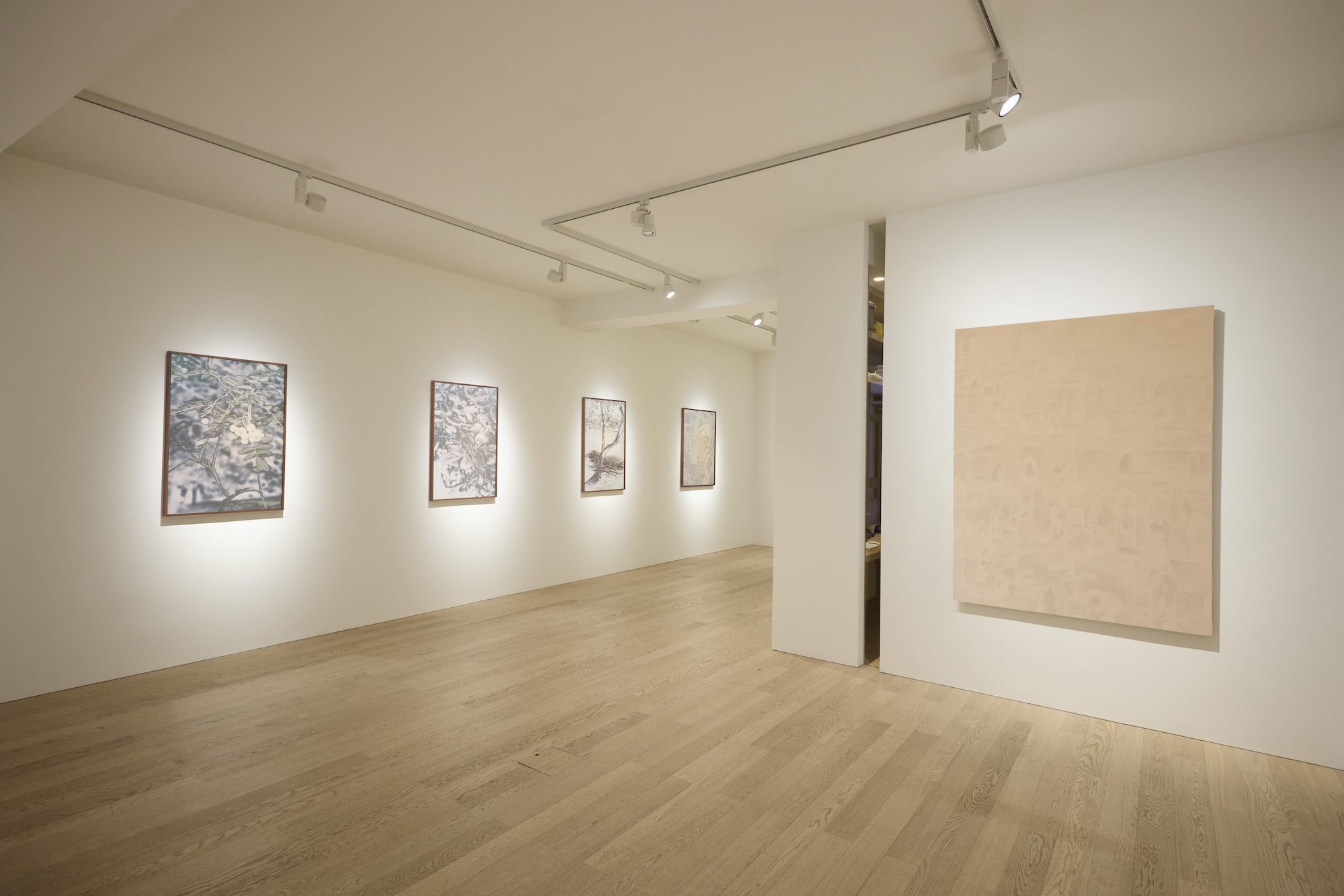 Xiaochi Dong & Feiyi Wen, The Garden and the Gaze at Albion Jeune, photo 4