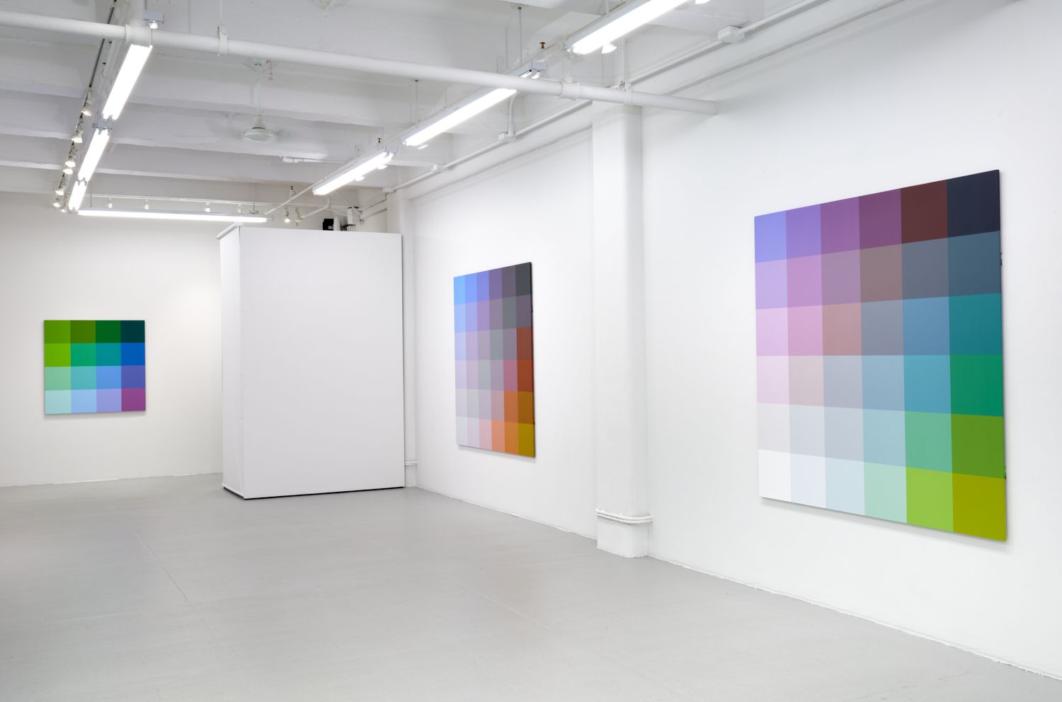 Robert Swain, The Perception of Color at David Richard Gallery, photo 9