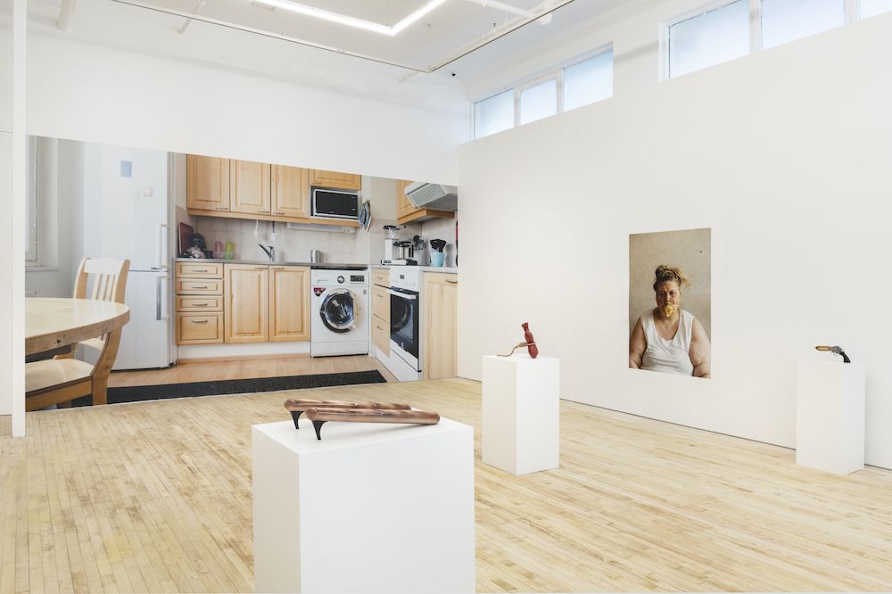 Iiu Susiraja, Hot Stuff at Nino Mier Gallery, photo 6