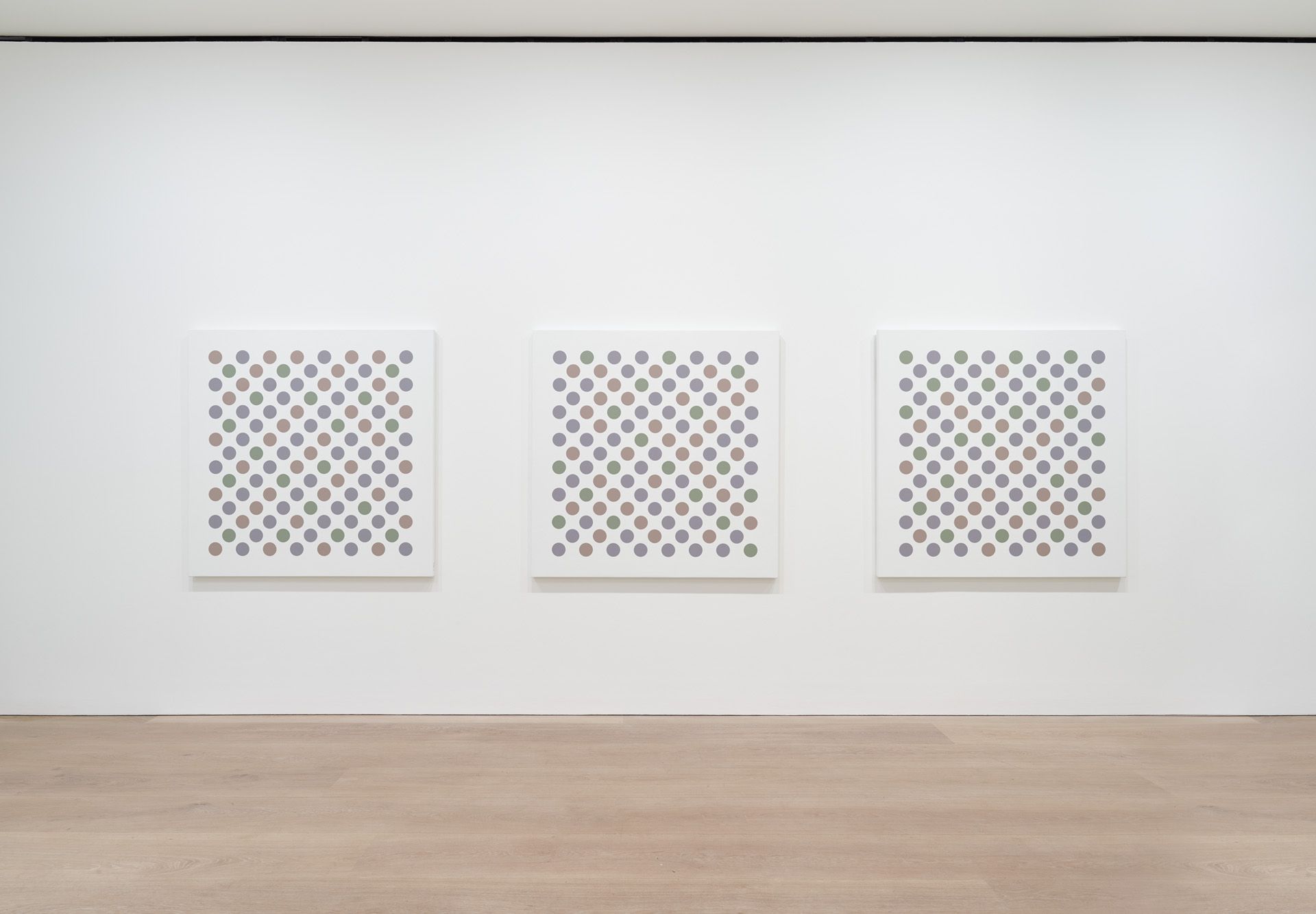Bridget Riley, Recent Paintings 2014 – 2017 at David Zwirner, photo 8