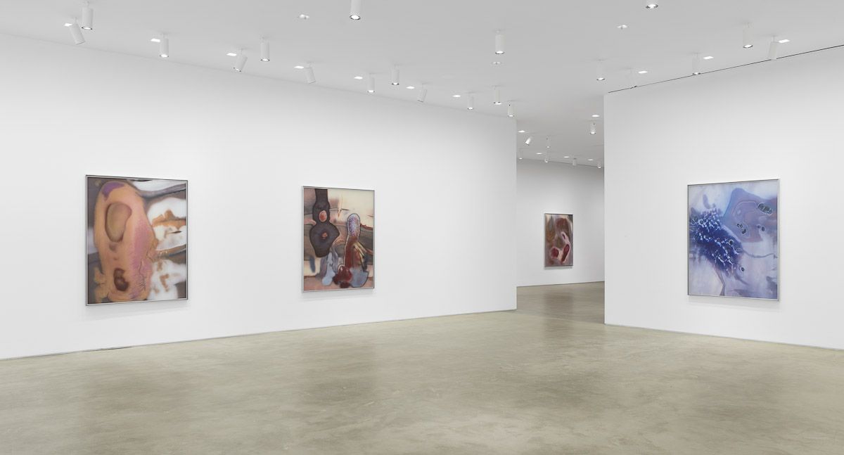 Anicka Yi, ÄLñ§ñ at Gladstone, photo 4