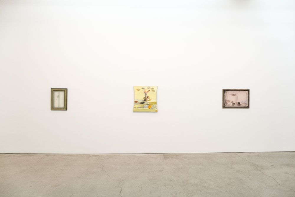 Merlin James, Genre Paintings at Sikkema Jenkins & Co., photo 5
