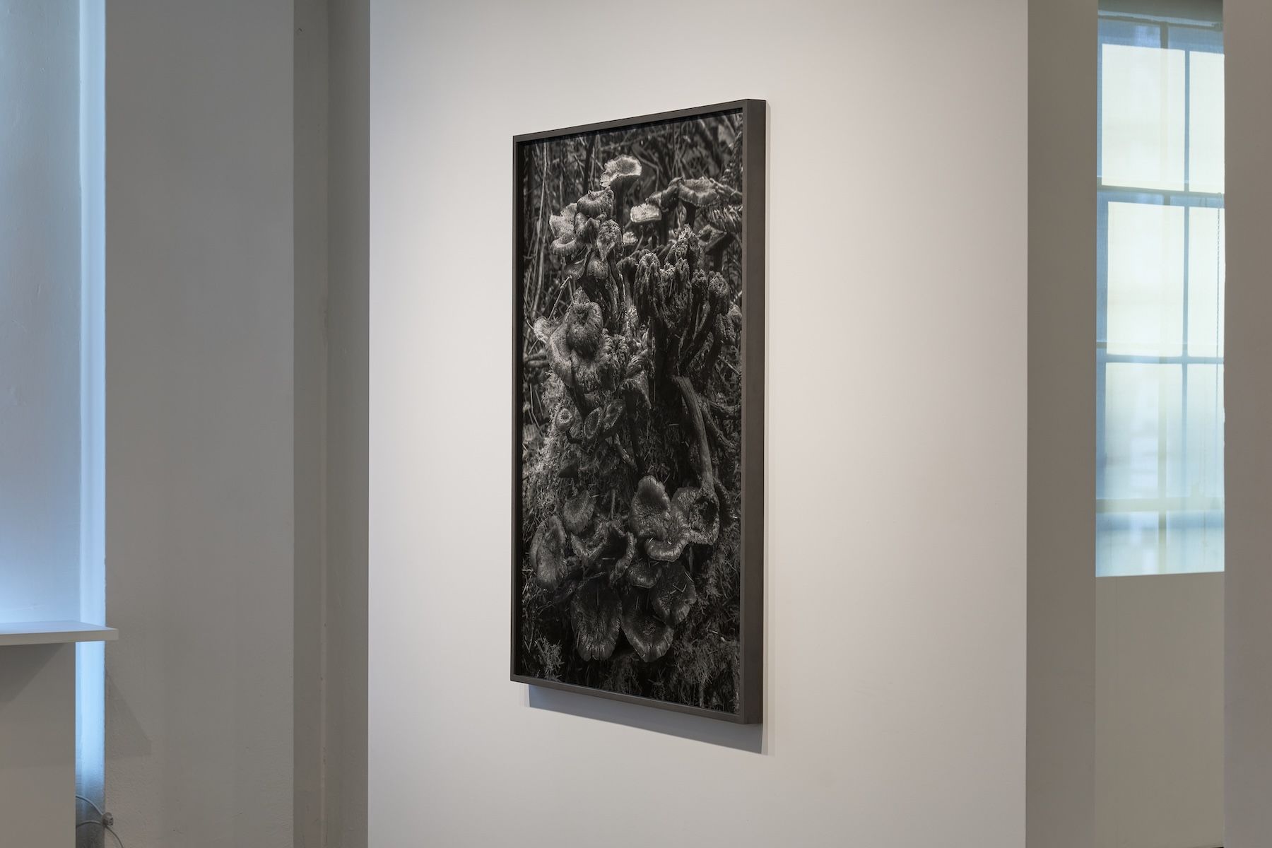 Ron Jude, Low Tide at Gallery Luisotti, photo 19