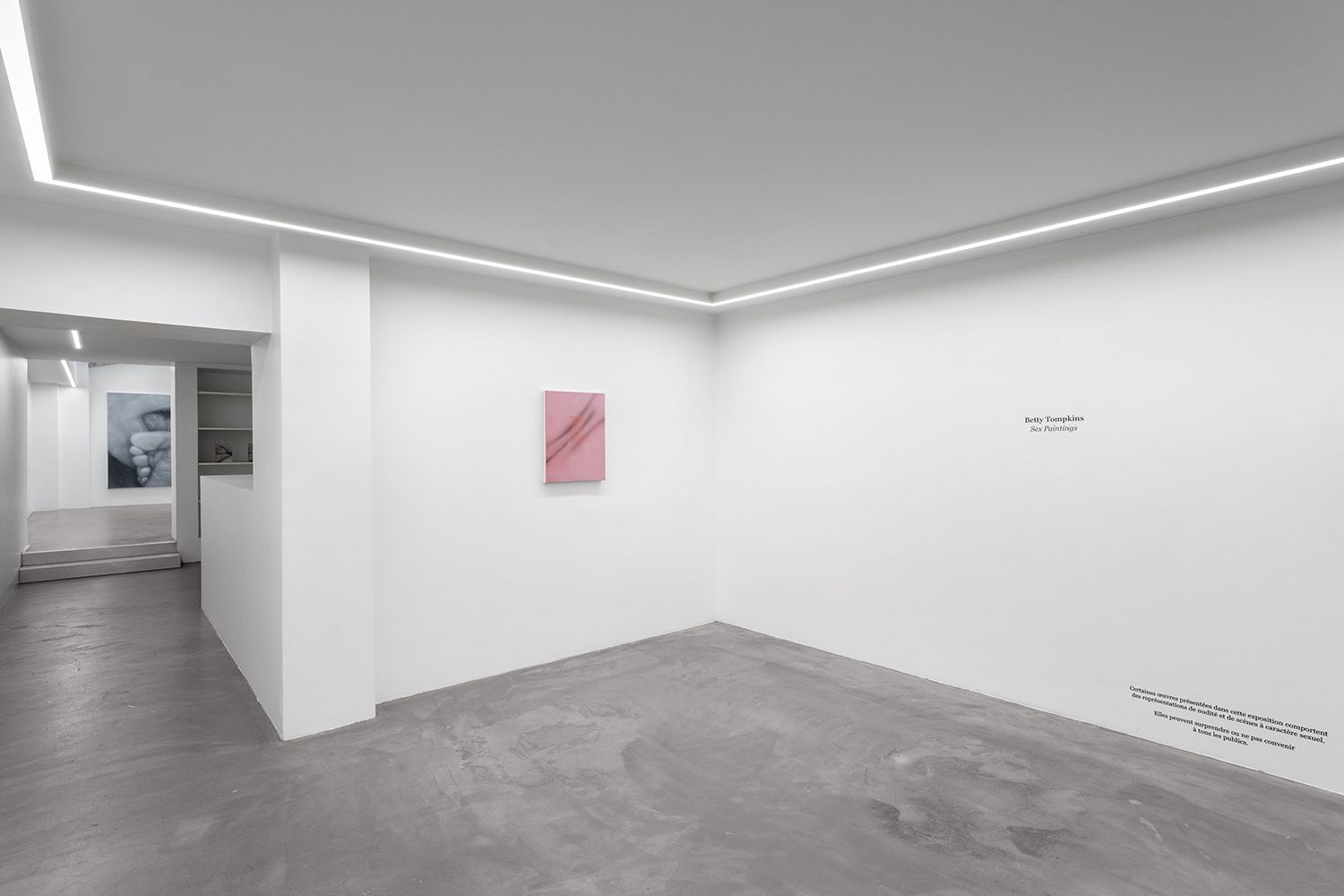 Betty Tompkins, Sex Paintings at Bremond Capela, photo 9