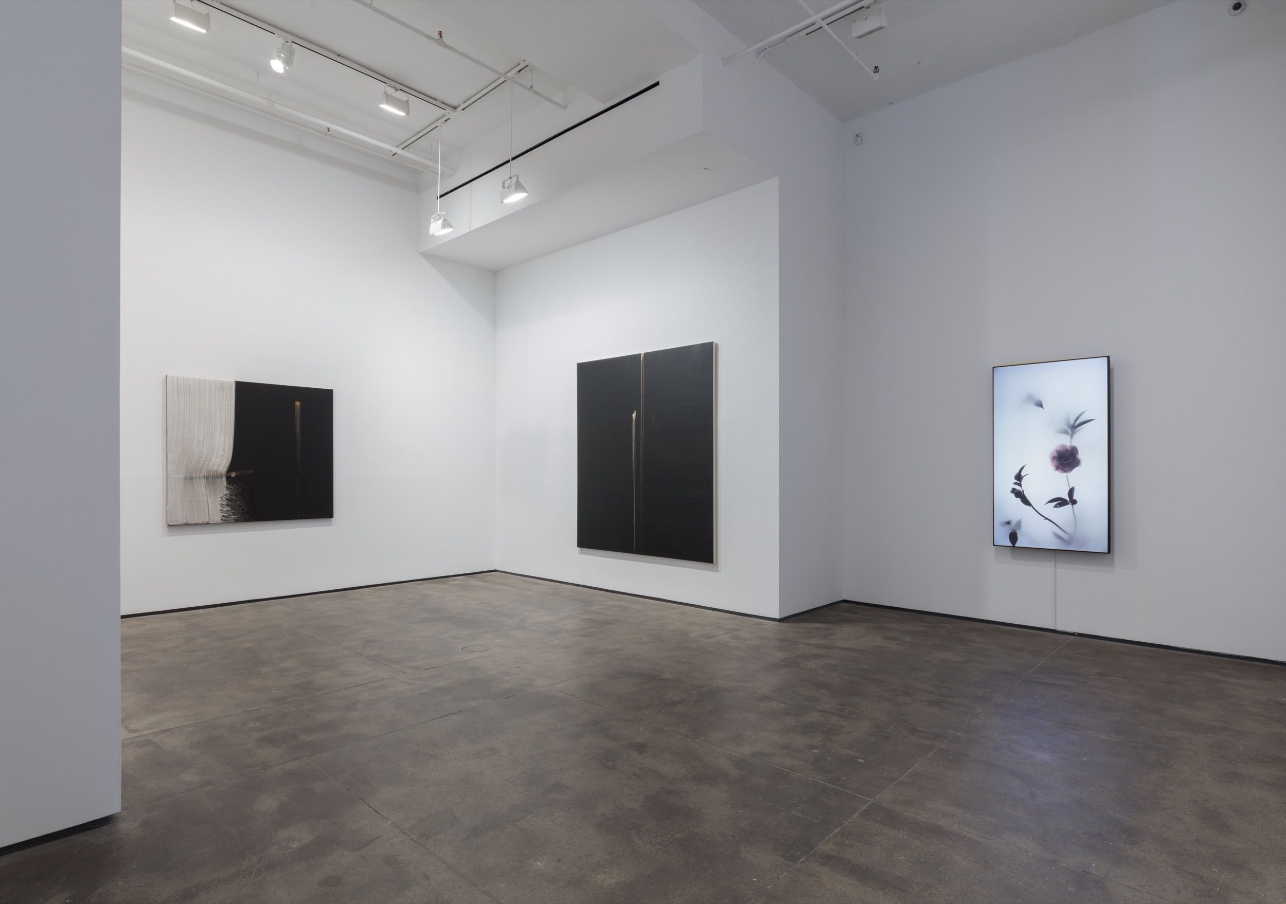 Installation view 3