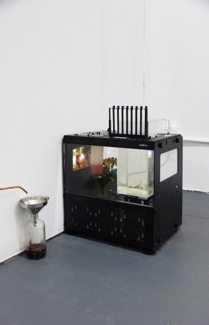 Andrew Norman Wilson, Wether at Chapter NY, photo 3