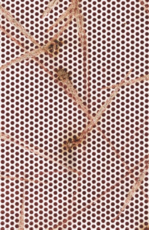 Thomas Wachholz, Strike Gently at Nino Mier Gallery, photo 2