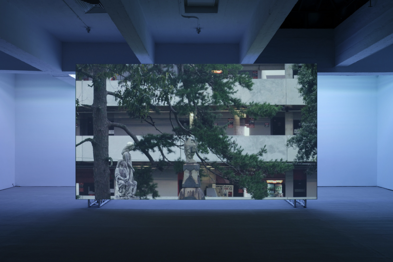 Paul Pfeiffer, Red Green Blue at Paula Cooper, photo 6
