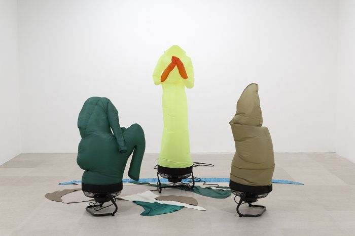 Paul Chan, Rhi Anima at Greene Naftali, photo 6
