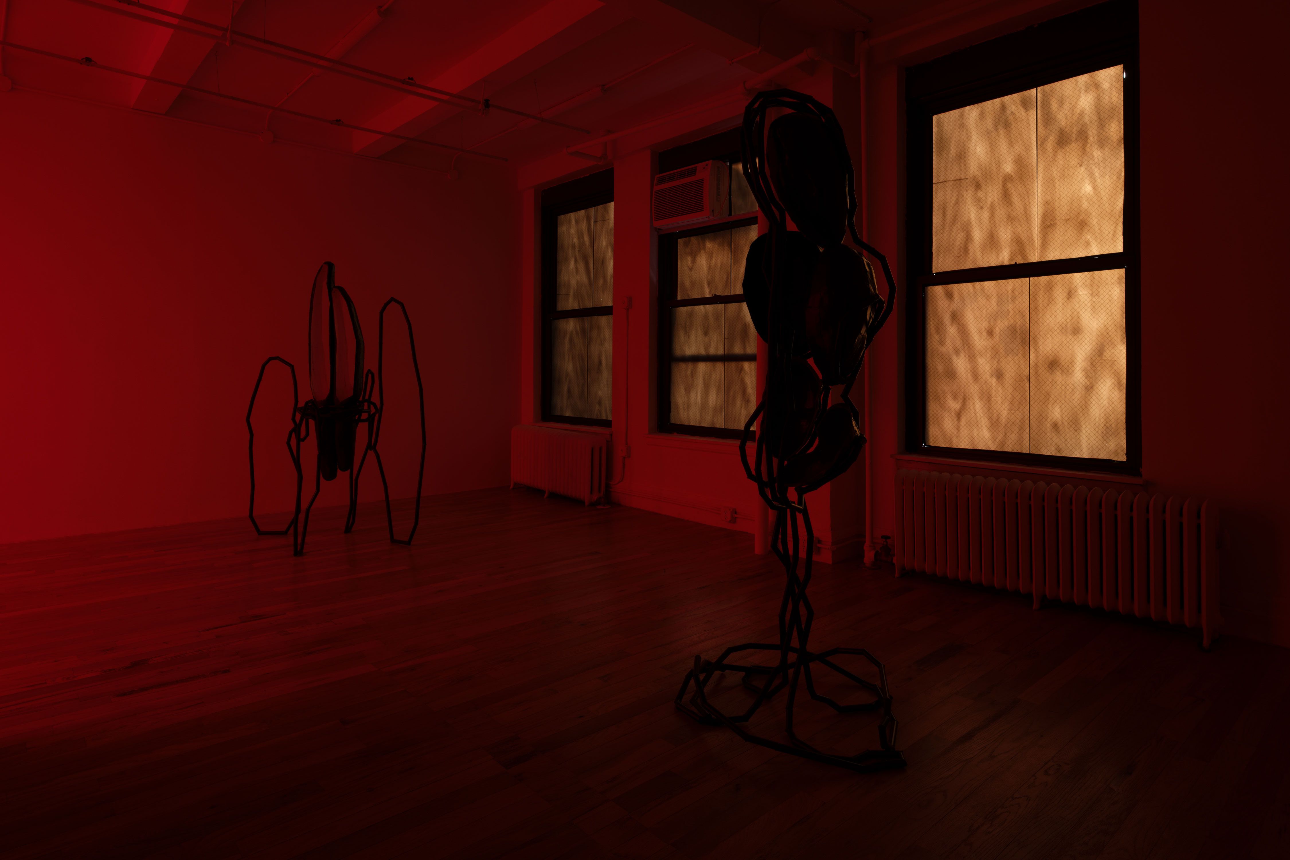 Indrikis Gelzis, Bingo Gaze at Polina Berlin Gallery, photo 8