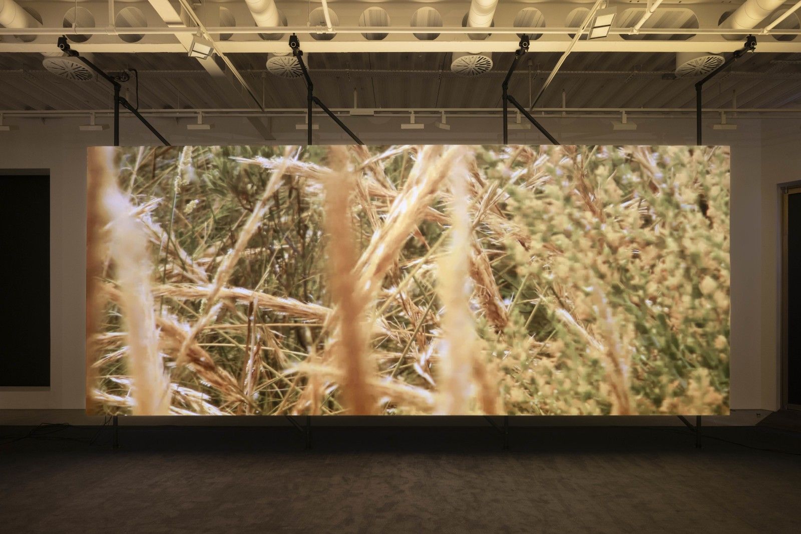Philippe Parreno, El Almendral at Pilar Corrias, photo 2