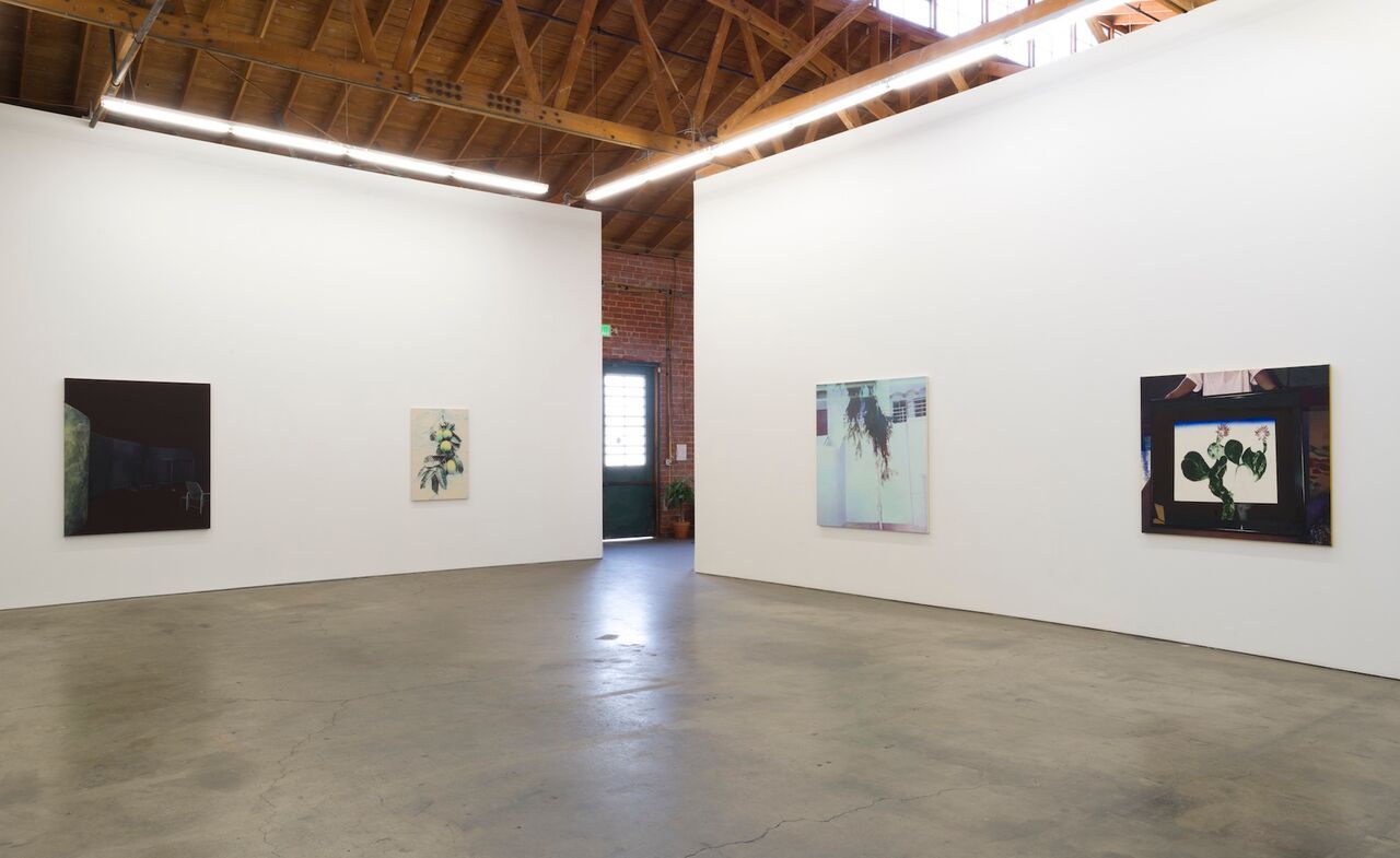 Becca Mann, Protea at François Ghebaly, photo 4