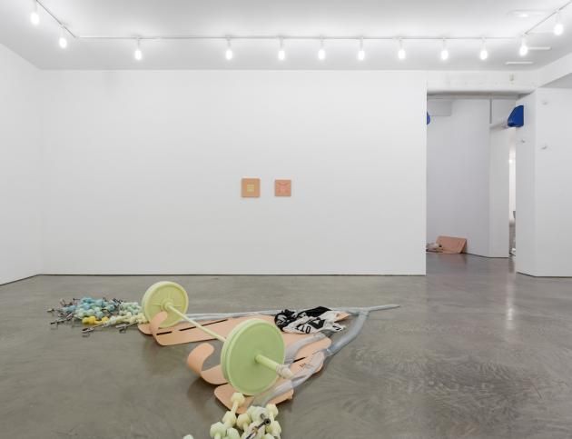 Matthew Barney, Facility Of Decline at Gladstone, photo 8