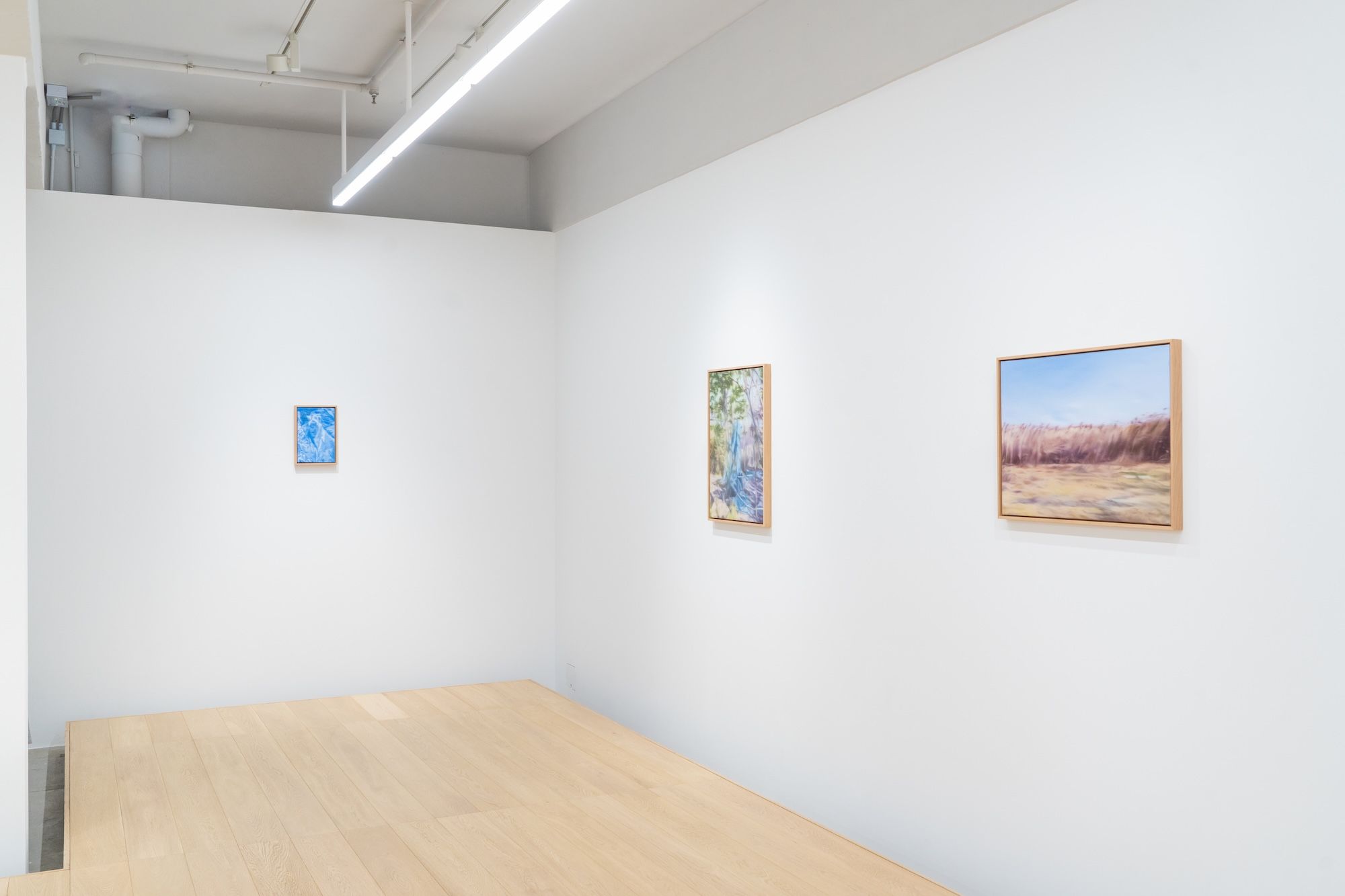 Embodied Perspectives, Embodied Perspectives at WKM Gallery, photo 3