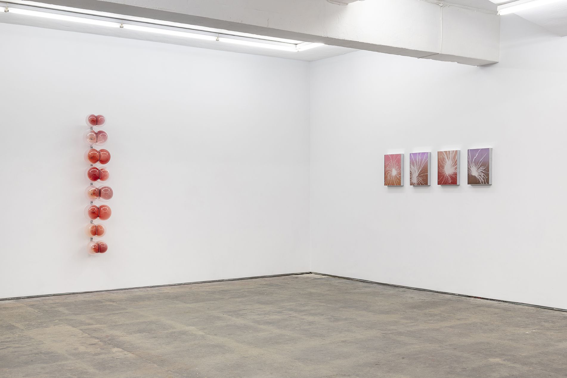 Gabriele Beveridge, Never Ends at Seventeen, photo 3