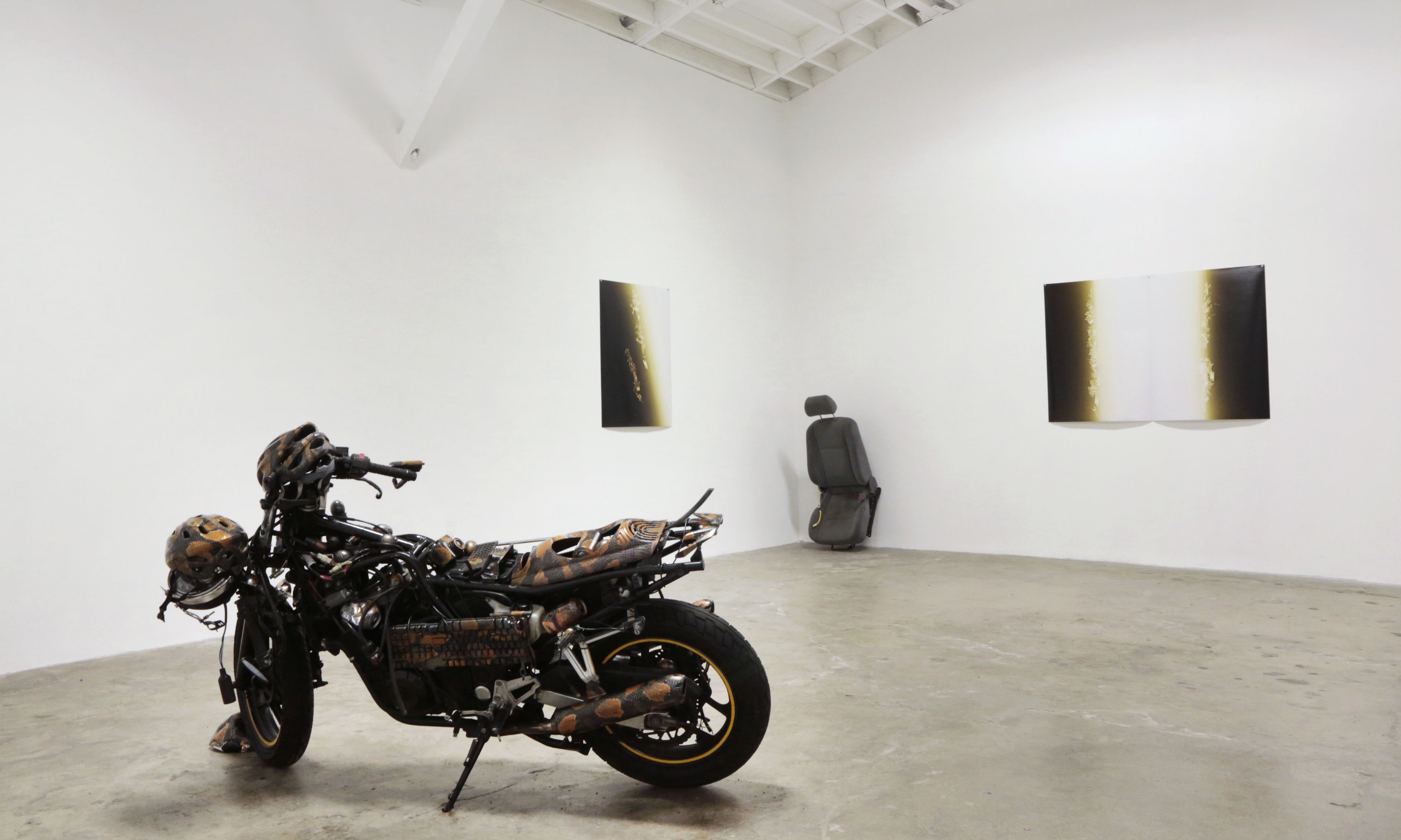 Tatiana Echeverri Fernandez, Bones and Bloodlines to Space at Museum as Retail Space, photo 11