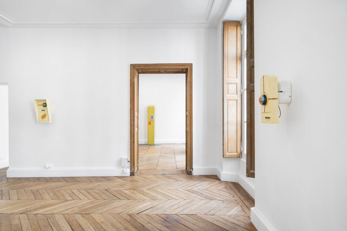 Cooper Jacoby, The Living Substrate at Fitzpatrick Gallery, photo 9