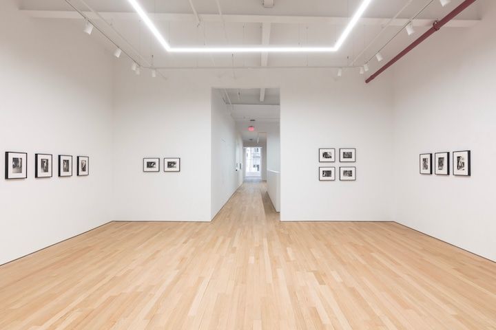 Installation view 7