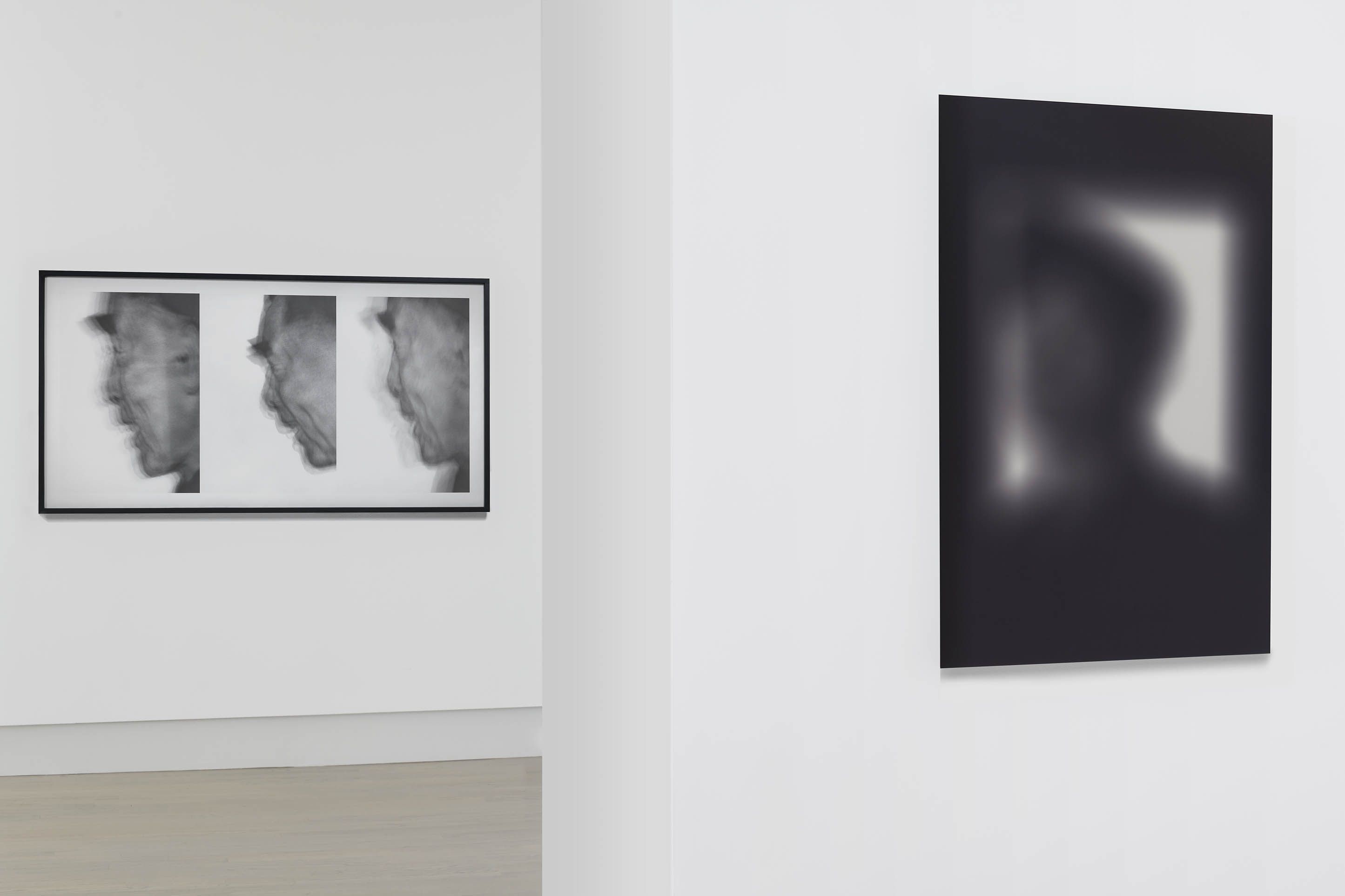 Boedi Widjaja, Declaration Of at Helwaser Gallery, photo 3