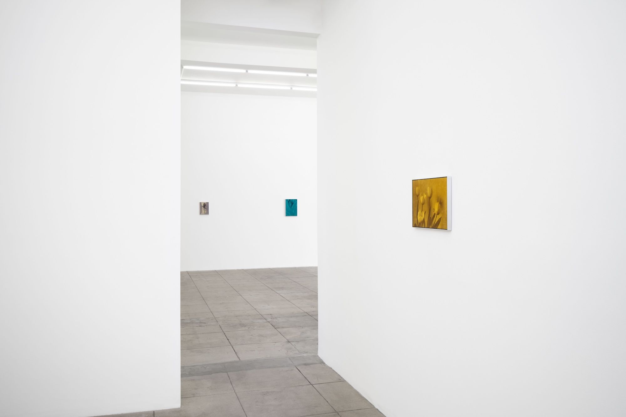 Poppy Jones, Sans Soleil at Overduin & Co., photo 14