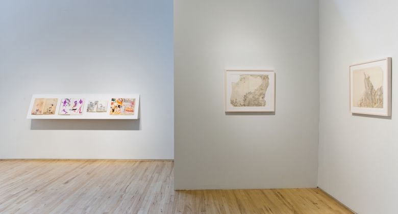 Susan Te Kahurangi King, Drawings from Many Worlds at Andrew Edlin, photo 2