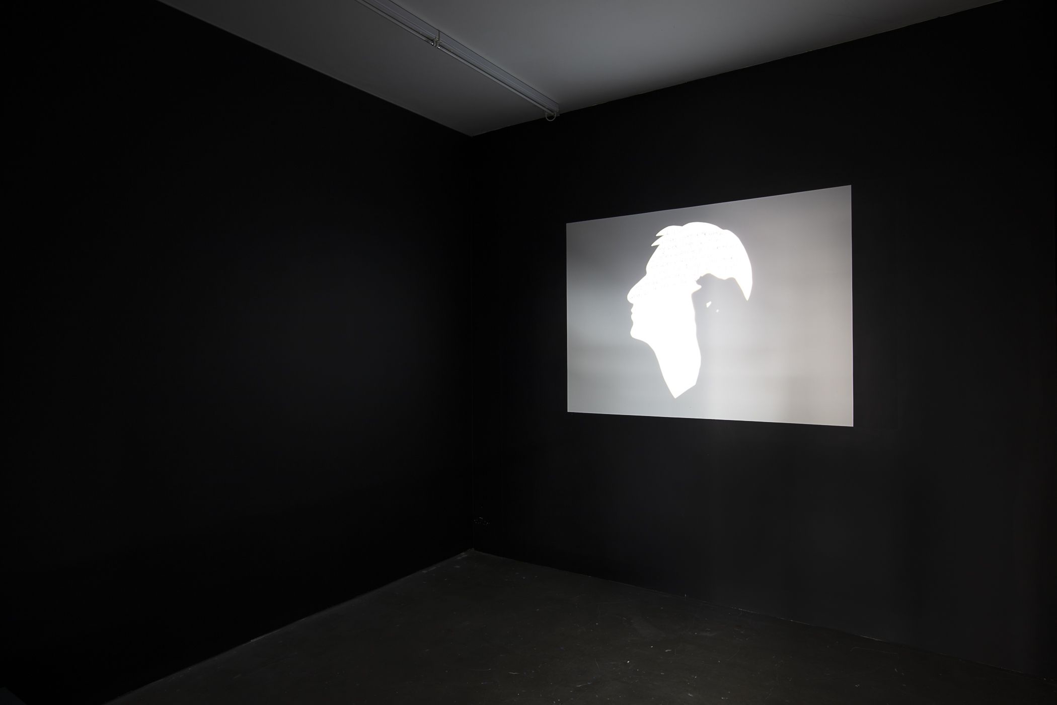 Victoria Lomasko, Separated World at Edel Assanti, photo 8