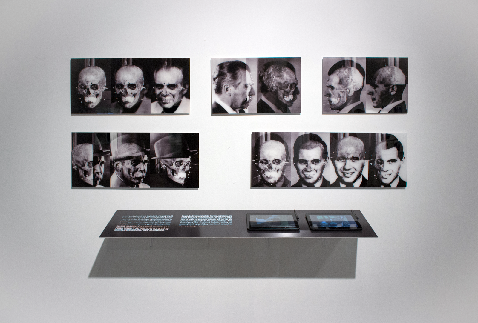 Evidentiary Realism, Evidentiary Realism at Fridman Gallery, photo 8